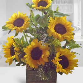 Sunflower arrangement in a square vase