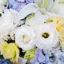 Bouquet of white, pale yellow, and light blue flowers