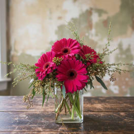 Gerbera Daisy Bouquet