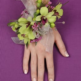 Hand corsage with green orchids, pink accents, and silver ribbon