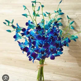 Blue Orchids in Vase