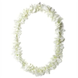 White flower lei garland on a plain background