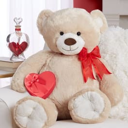 Valentines day bears