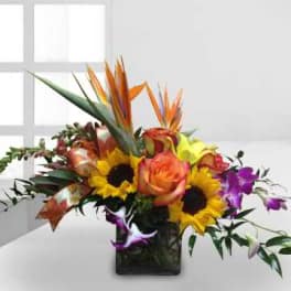 Tropical bouquet with sunflowers, roses, and orchids in a black vase