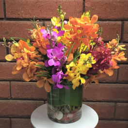 Colorful orchid arrangement in a glass vase