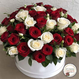 Red and white roses arranged in a round white box