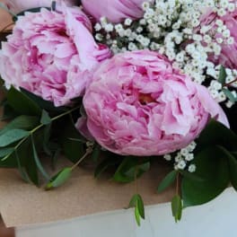 Pink peonies with white baby's breath and greenery