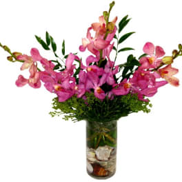 Pink orchids arranged in a tall glass vase with greenery