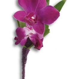 Purple orchid boutonniere with green leaves