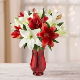 Bouquet of red and white lilies in a red glass vase