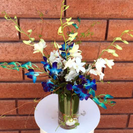 Blue and white orchid arrangement in a glass vase