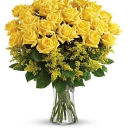 2 Dozen Yellow Roses