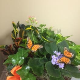 Potted plant arrangement with purple flowers and butterfly decorations