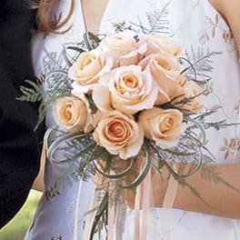Bridal bouquet of pale peach roses with trailing ribbon