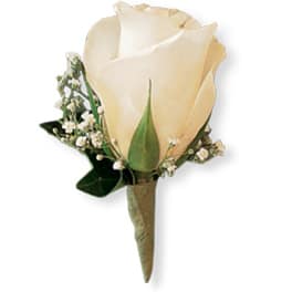 Cream rose boutonniere with small white filler flowers