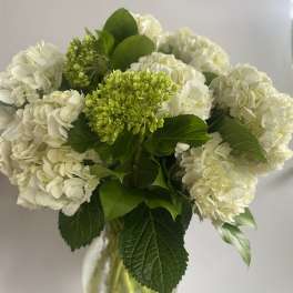 White hydrangea bouquet with green blooms in a glass vase