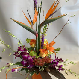Tropical floral arrangement with orange birds of paradise and purple orchids in a vase