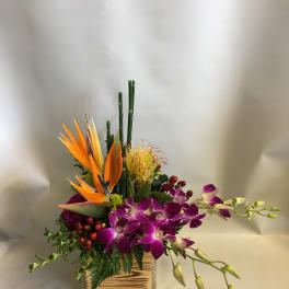 Tropical flower arrangement with purple orchids and orange bird-of-paradise in a wooden box