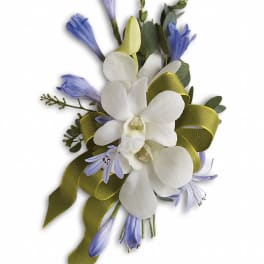 White orchid corsage with blue flowers and olive ribbon