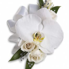 White orchid corsage with cream roses and silver ribbon