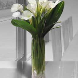 White calla lilies in a clear glass vase