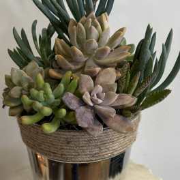 Succulent arrangement in a metal bucket with a rope wrap