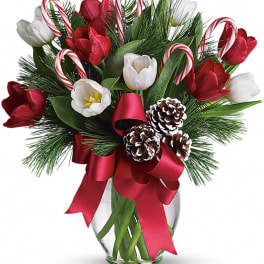 Red and white tulips with candy canes in a glass vase