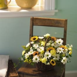 Basket of white and yellow daisy-like flowers on a wooden chair