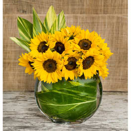 Bouquet of yellow sunflowers in a glass vase