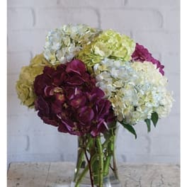 Arrangement of white, green, and purple hydrangeas in a clear glass vase