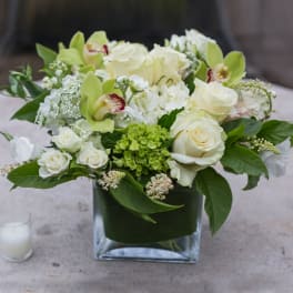 White rose and orchid arrangement in a square glass vase