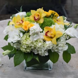 Yellow orchids and white flowers in a square glass vase