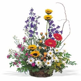Mixed flower basket with sunflowers, daisies, and red blooms