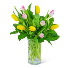 Yellow and pink tulips in a clear glass vase