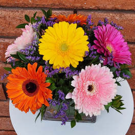 Colorful gerbera daisies arranged in a clear rectangular vase