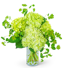 Lime-green hydrangea arrangement in a clear glass vase