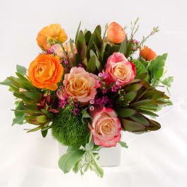 Bouquet of orange and pink roses with green foliage in a white vase