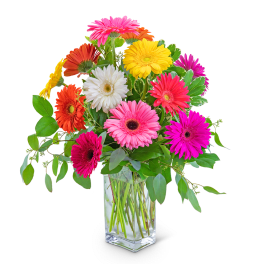 Colorful gerbera daisy bouquet in a clear glass vase