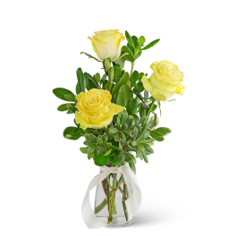 Three Yellow Roses