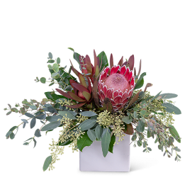 Pink protea arrangement in a white square vase
