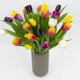 Mixed tulips in a ribbed vase