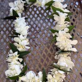 Single white orchids lei, with greens