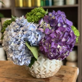 Blue and purple hydrangeas in a patterned ceramic vase