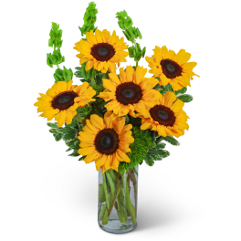 Tall arrangement of yellow sunflowers and green blooms in a clear glass cylinder vase