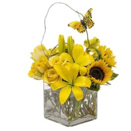 Yellow floral arrangement in a clear square vase with a butterfly accent