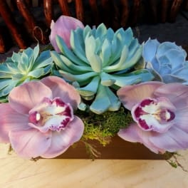 Succulent arrangement with pink orchid blooms in a wooden container