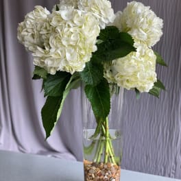 White hydrangea bouquet in a clear glass vase with pebbles
