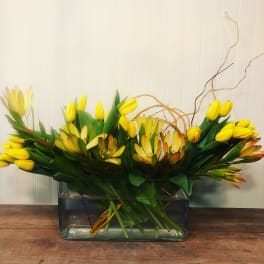Yellow tulips and protea in a rectangular glass vase