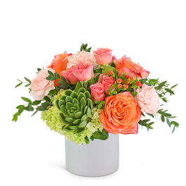 Coral and pink roses with green hydrangea in a white vase