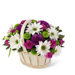 Wooden basket of white daisies, purple carnations, and green button mums with a handle.